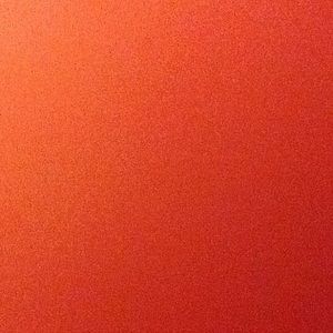 Meet your Posher, Ray